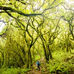 Sage | Guatemala Volcano + Beach Impact Adventure