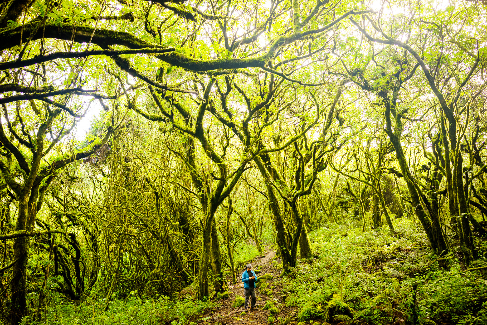 Sage | Guatemala Volcano + Beach Impact Adventure