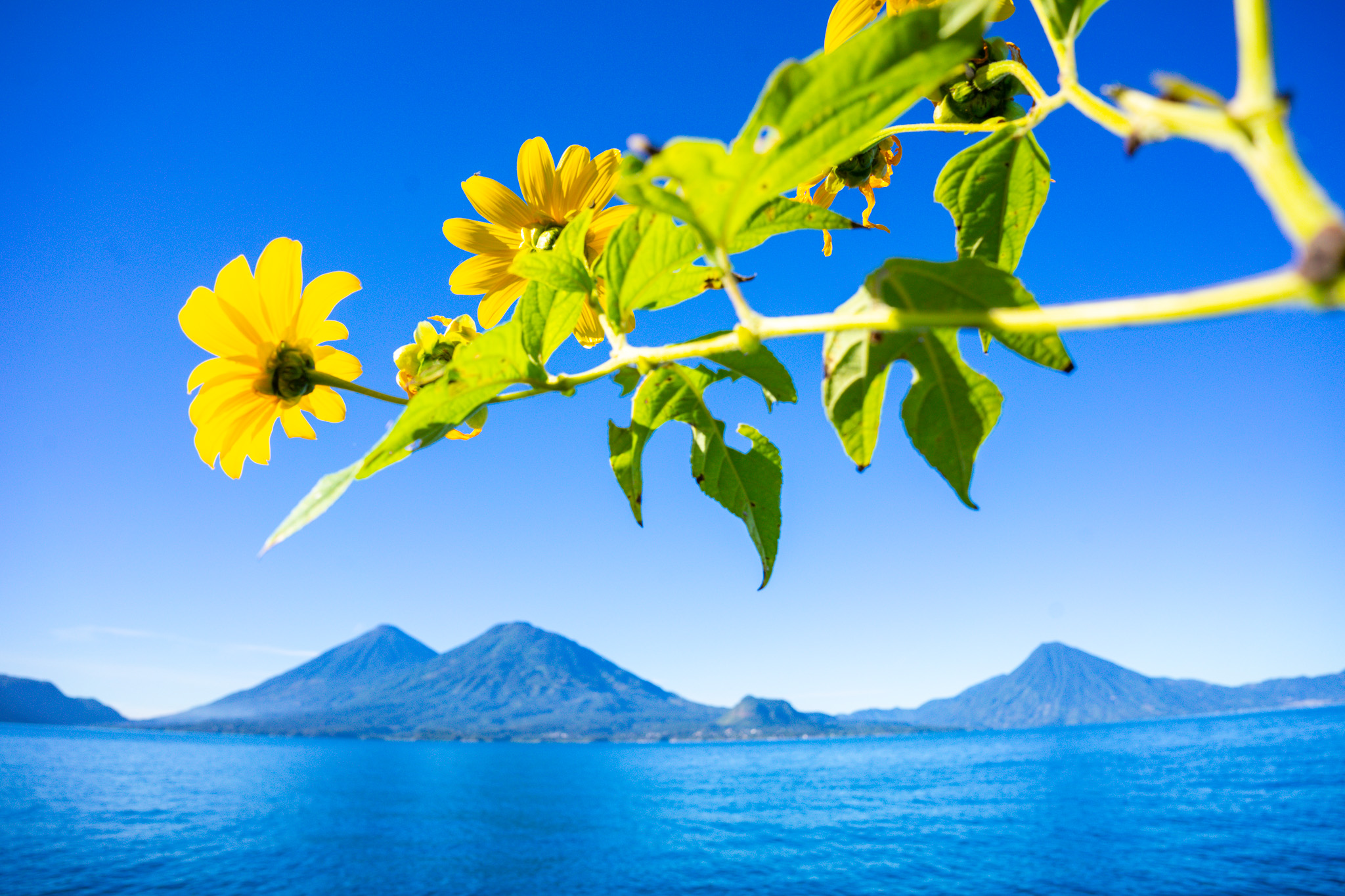 Sage | Guatemala Volcano + Beach Impact Adventure